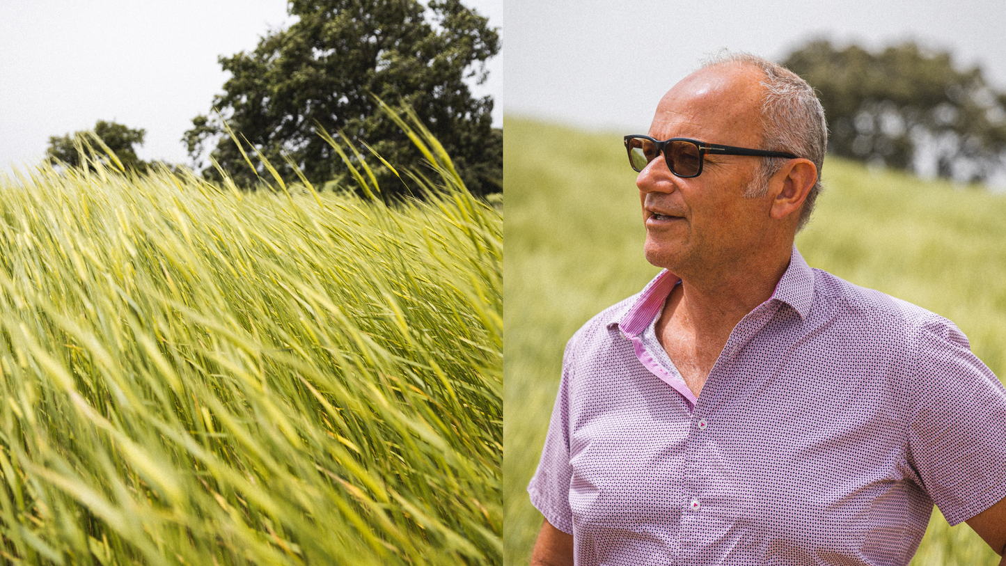 The Hidden Truth About Wheat: Why & How Einkorn Is Different from Modern Wheat