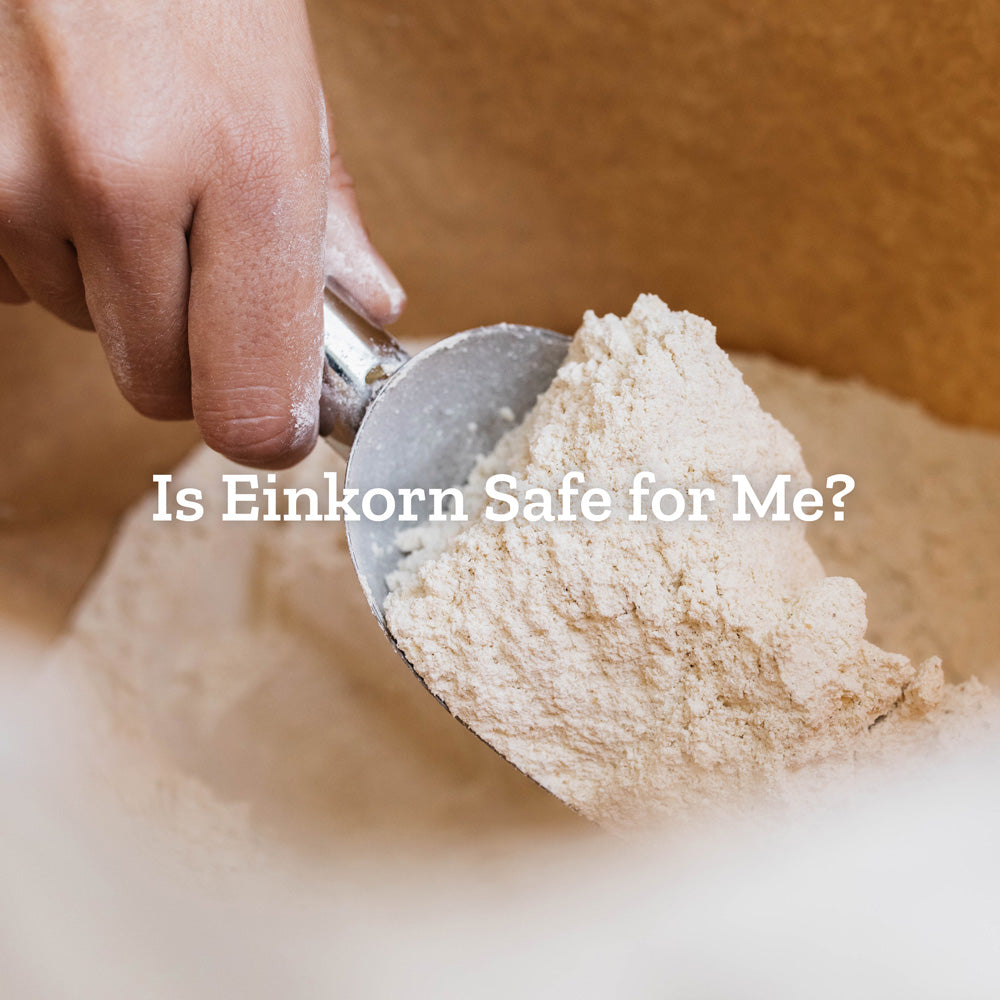 Is Einkorn Safe for Me?