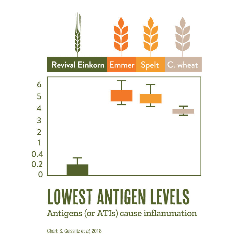 Einkorn antigen levels