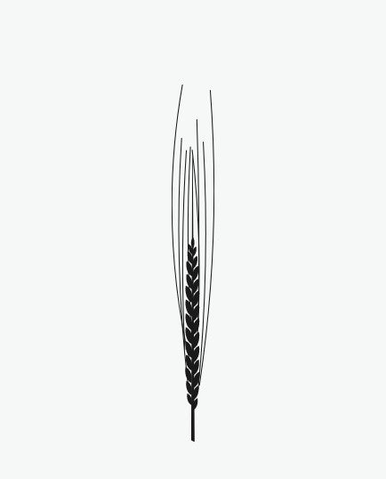 Revival Einkorn