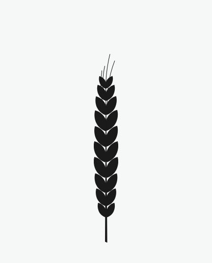 Revival Einkorn