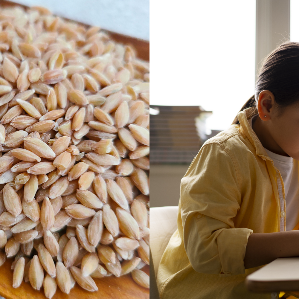 Ancient Grains and ADHD: How Einkorn Can Enhance Brain Health