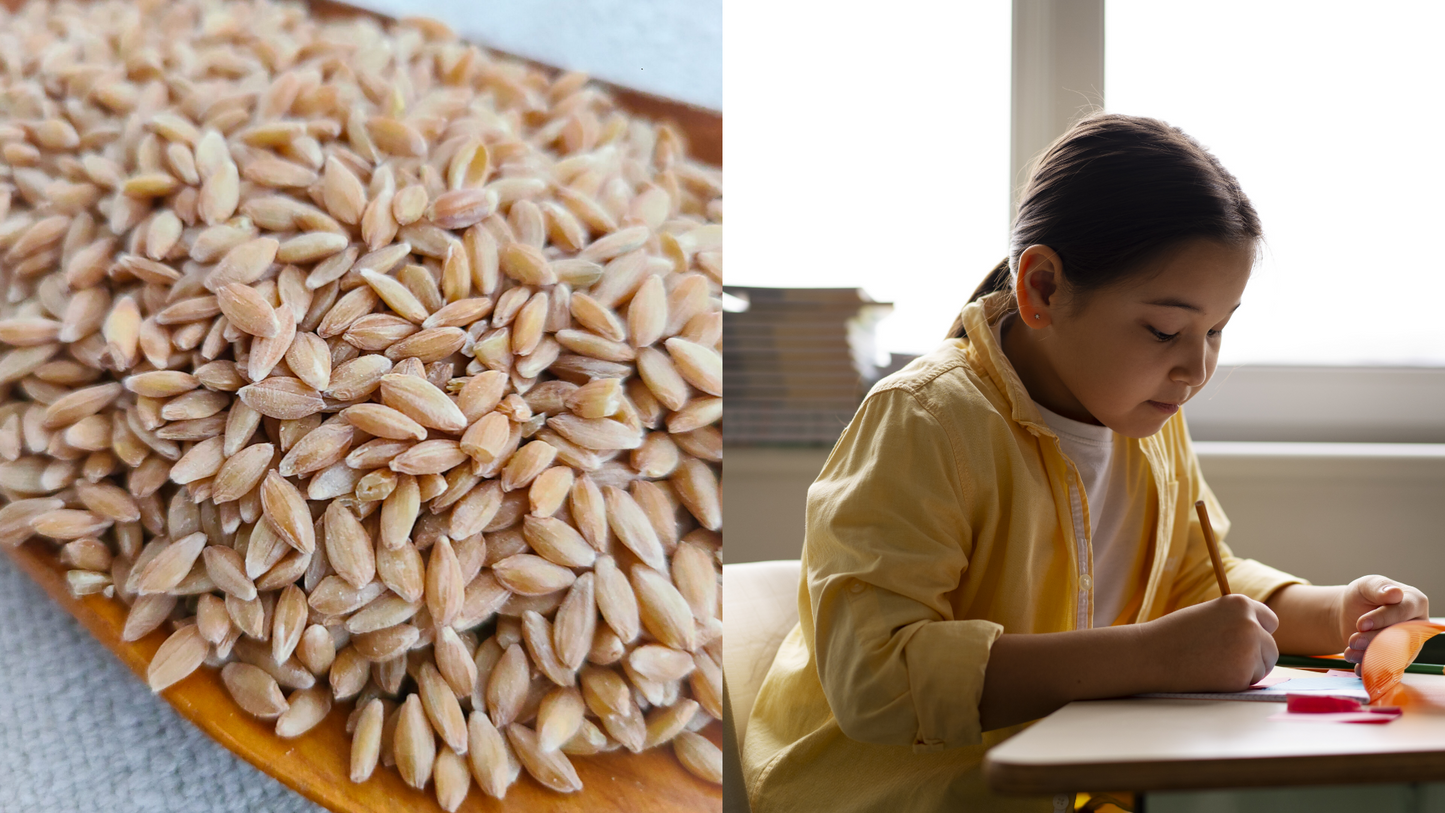 Ancient Grains and ADHD: How Einkorn Can Enhance Brain Health