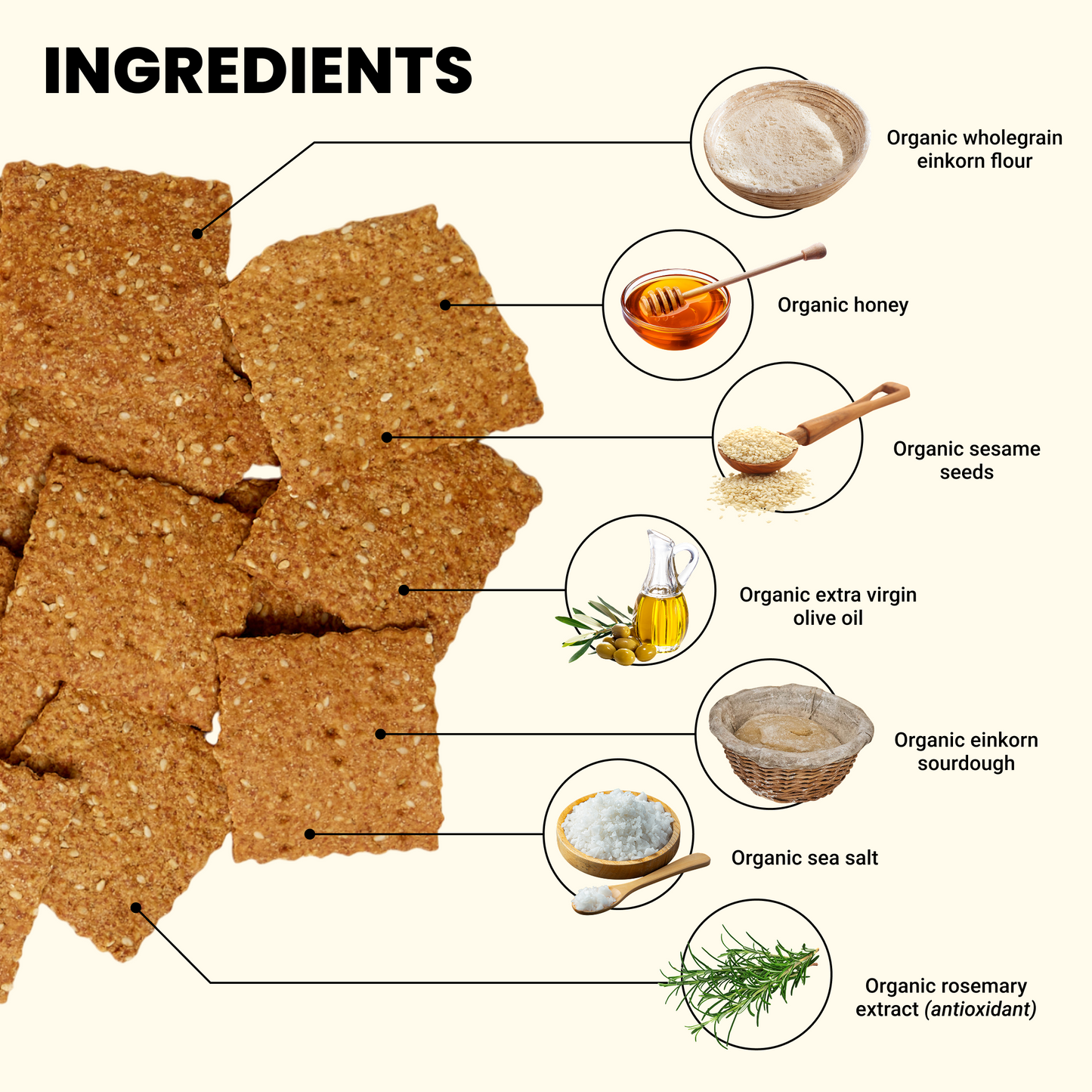 Ingredients list for Toasted Sesame & Honey Crackers