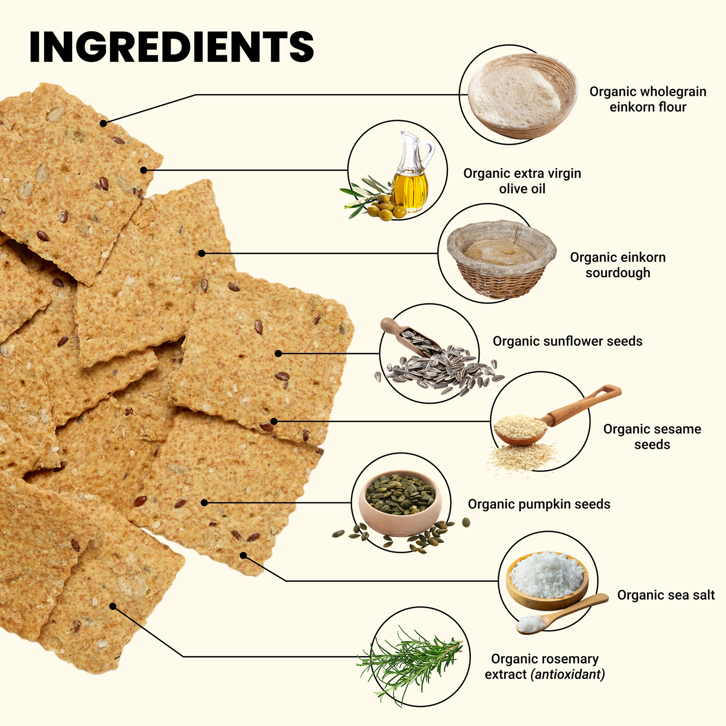 Ingredients list for Seeds & Sea Salt Crackers