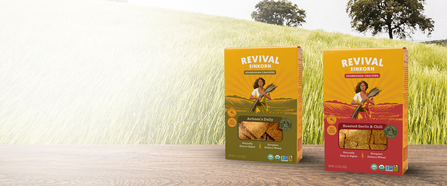 Revival Einkorn