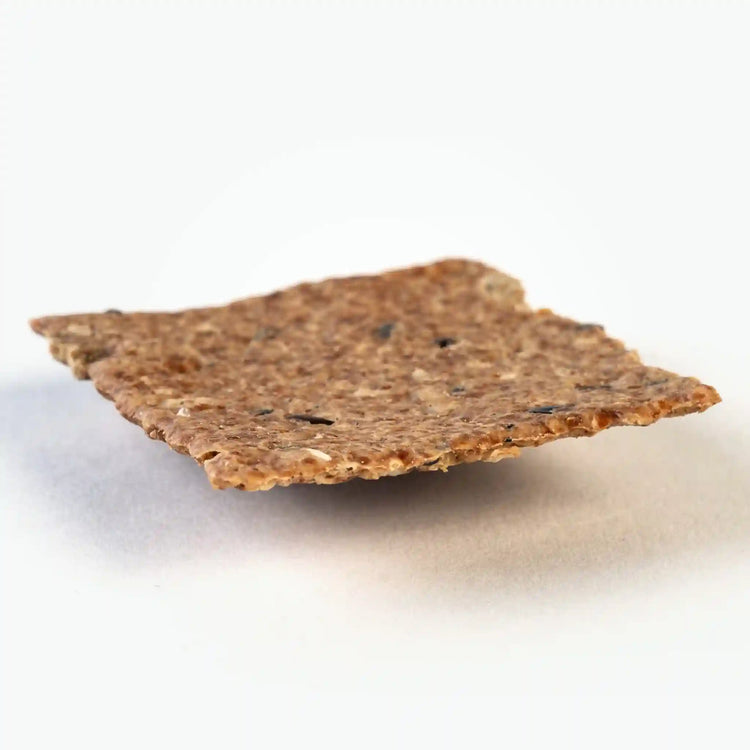 Single piece of Seeds & Sea Salt Cracker